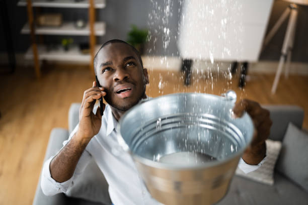 Best Flood damage cleanup  in Shenandoah, LA