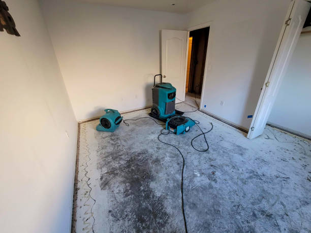 Best Local water damage restoration  in Shenandoah, LA