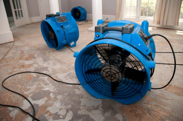 24/7 water damage repair in LA