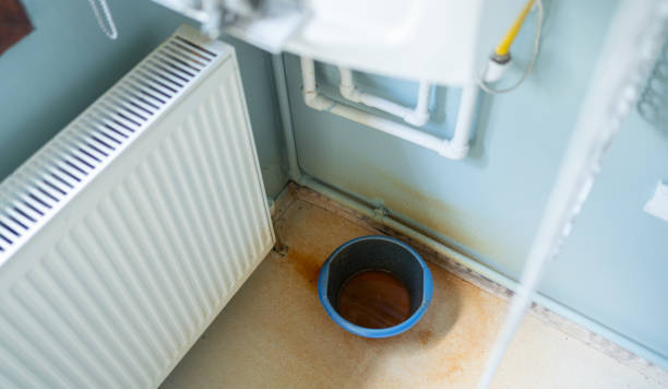 Best Sewage cleanup and water damage restoration  in Shenandoah, LA